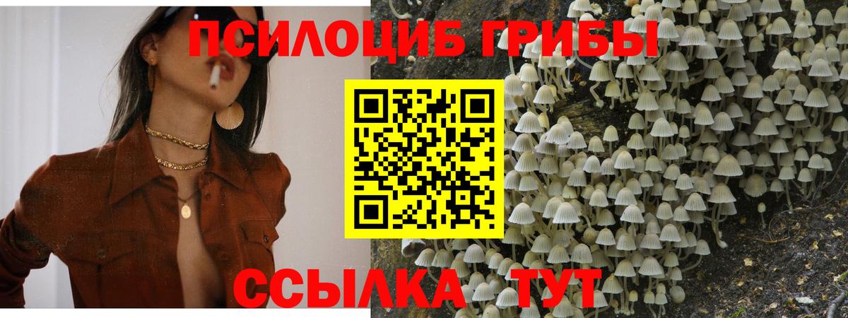 Галлюциногенные грибы Cubensis  Галлюциногенные грибы Cubensis  Вход с VPN  Рыбинск 