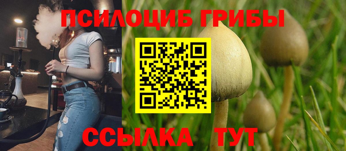 Галлюциногенные грибы мухоморы Рыбинск